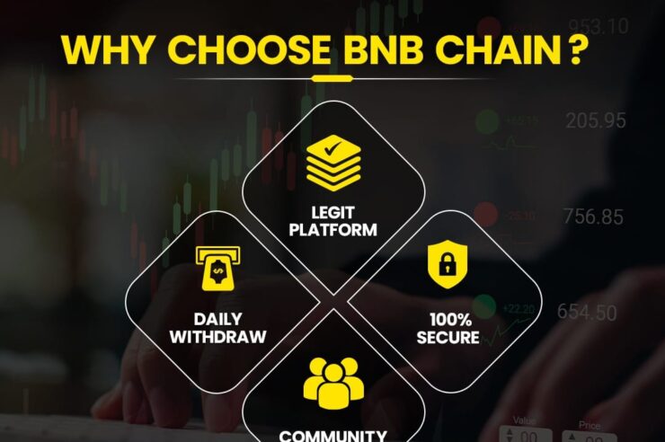 BNBChain Review- The Best way to Multiple Your BNB Coins
