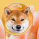 Shiba Inu (SHIB): What Whale Actions Mean for the Token