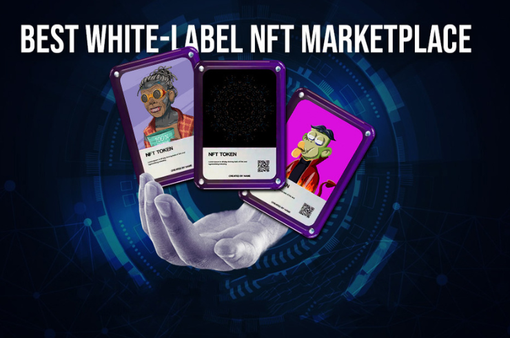 10 Contributing Factors in Building the Best White-label NFT Marketplace
