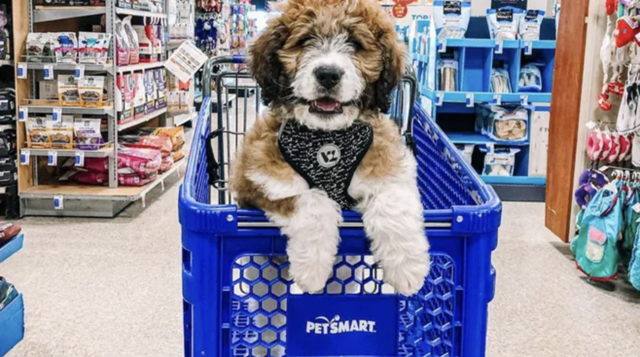 What is the best place to buy pet supplies online?