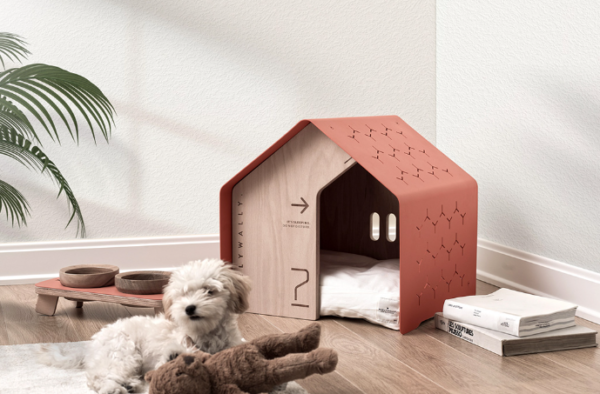 Pet-Friendly Homes: Designing for Your Furry Friends in Texas